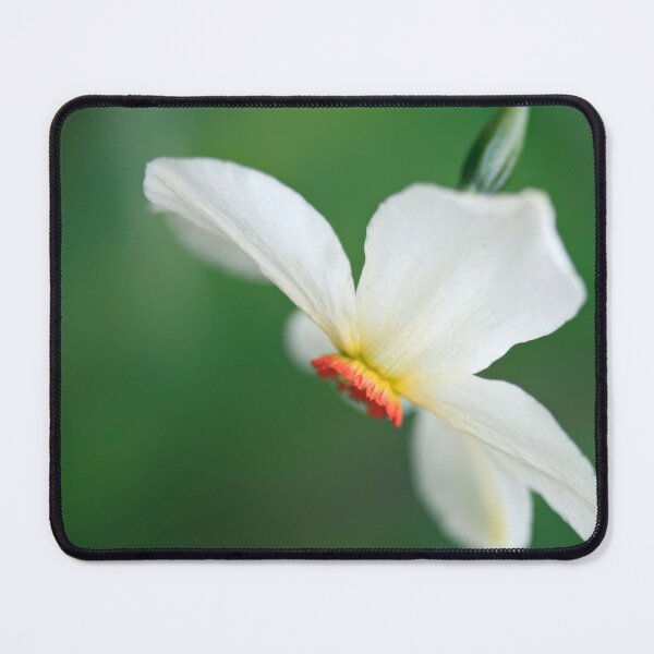 Item preview, White flower in spring garden designed and sold by olena2552.