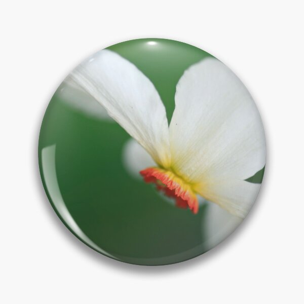 Item preview, White flower in spring garden designed and sold by olena2552.