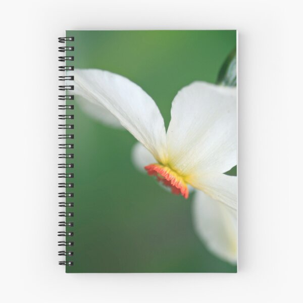 Item preview, White flower in spring garden designed and sold by olena2552.