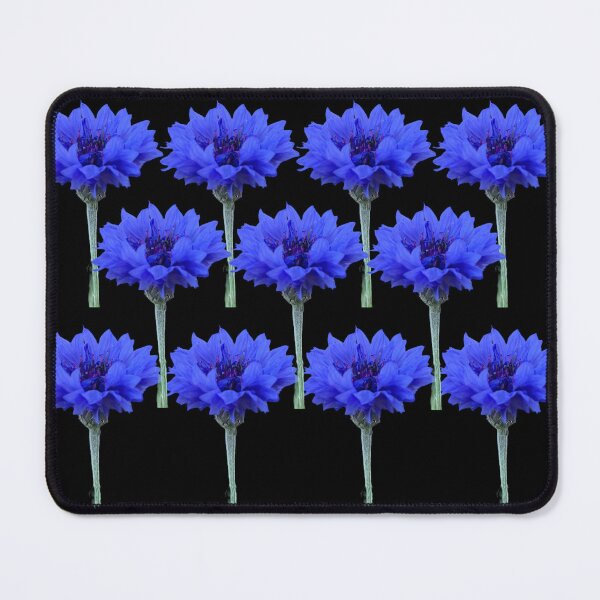 Item preview, Cornflowers with black background designed and sold by Binas-gallery.