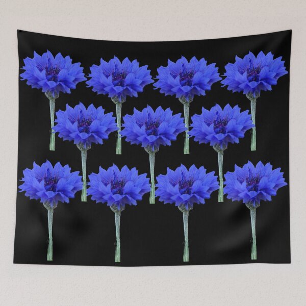 Item preview, Cornflowers with black background designed and sold by Binas-gallery.