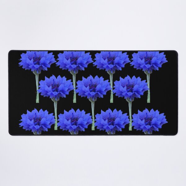 Item preview, Cornflowers with black background designed and sold by Binas-gallery.