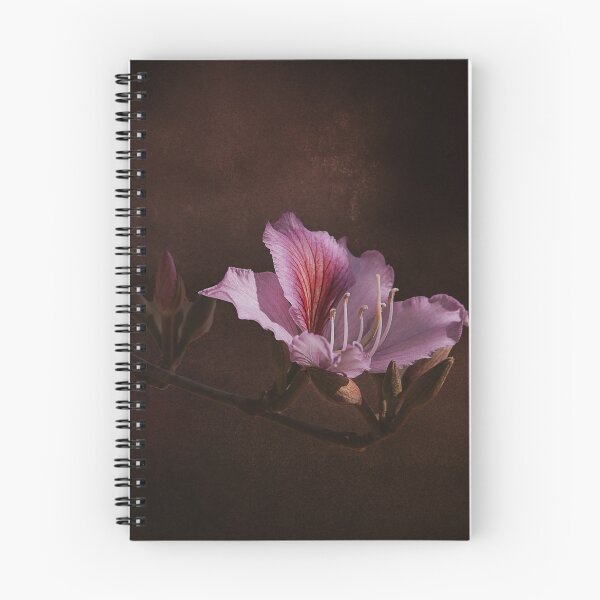Item preview, Bauhinia variegata blooming  designed and sold by jkrphoto.