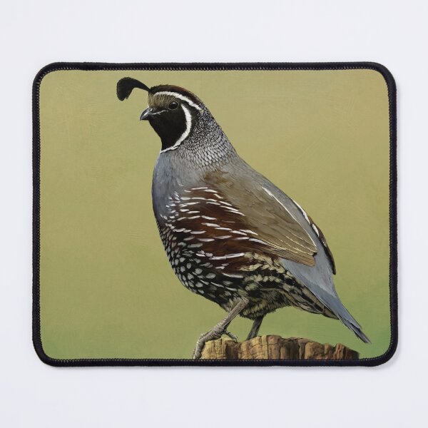 Item preview, New World Quail designed and sold by Powers Art.