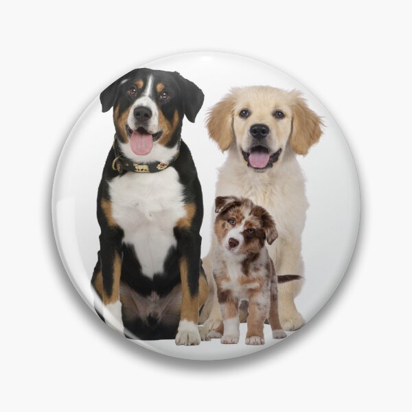 Item preview, Dogs! One of the best ideas...ever designed and sold by dreamerv3.