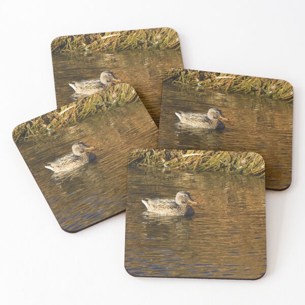 Item preview, Little Brown Duck Swimming in the Water designed and sold by CommandoCrane.
