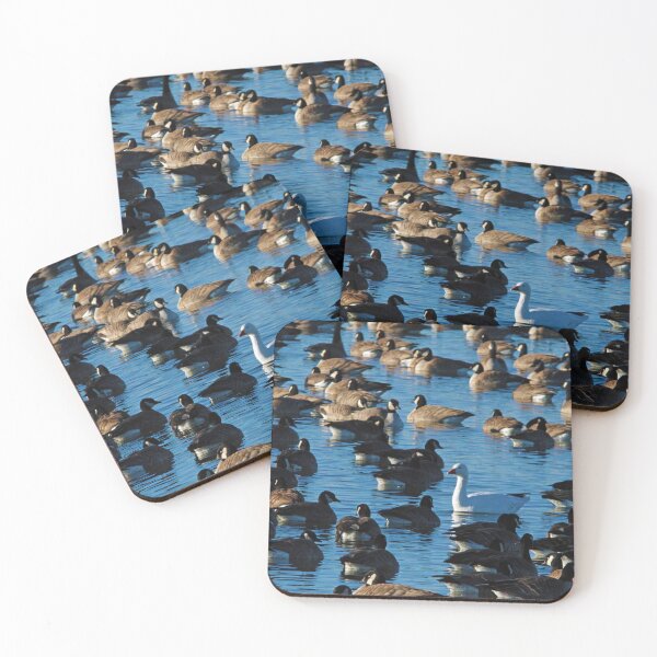 Item preview, I Gotta' Be Me: Snow Goose in a Sea of Canadian Geese designed and sold by CommandoCrane.