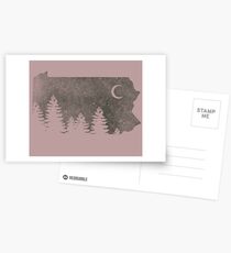 Summers in Pa Postcards