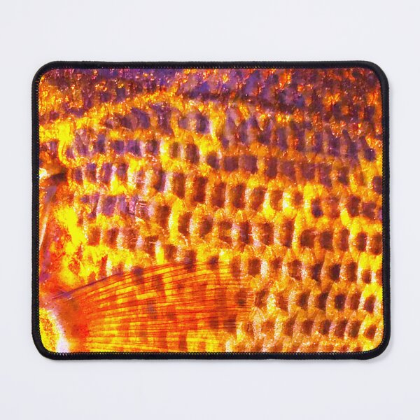 Item preview, Rock Bass (Warm) Skin Pattern  designed and sold by CJRPics.
