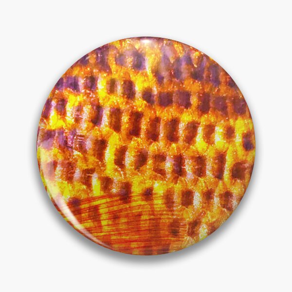 Item preview, Rock Bass (Warm) Skin Pattern  designed and sold by CJRPics.