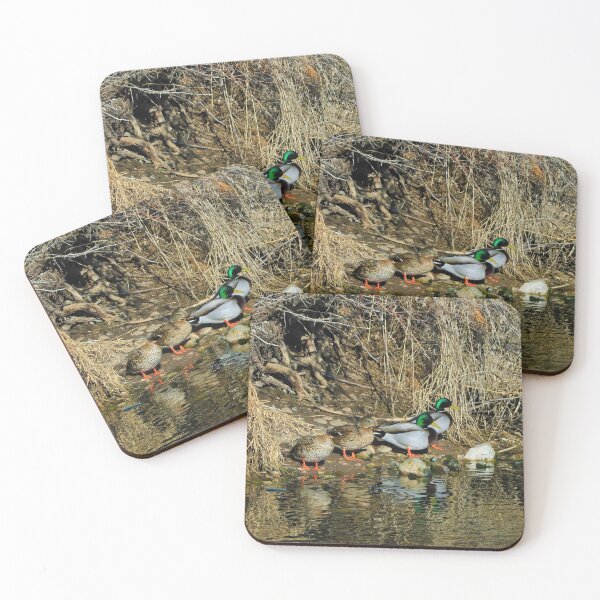 Item preview, Duck Cove designed and sold by CommandoCrane.