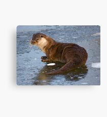 Otterly Freezing! Canvas Print