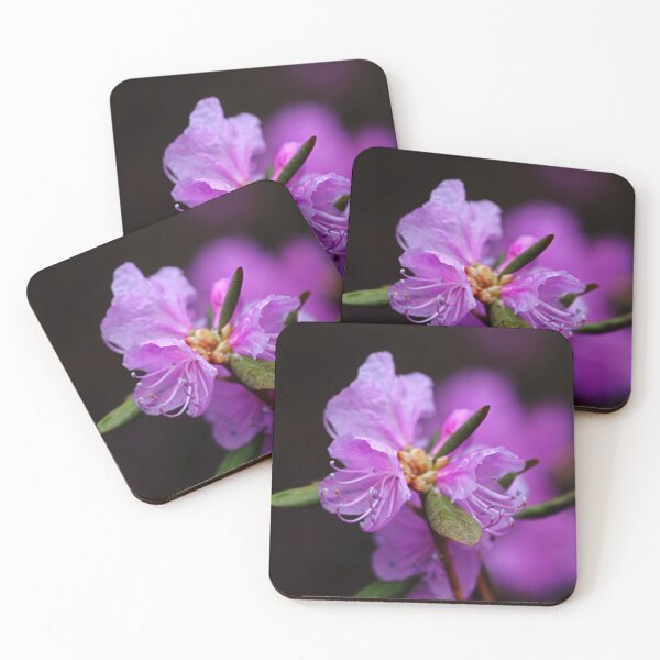 Item preview, Rhododendron designed and sold by Deb Oppermann.