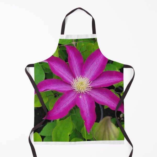Item preview, Clematis designed and sold by AnthonyThomas.