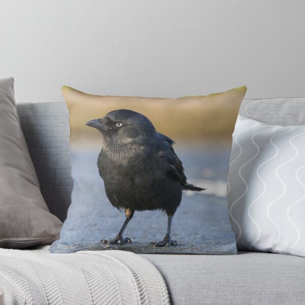 Item preview, Grajo designed and sold by GreyFeatherPhot.