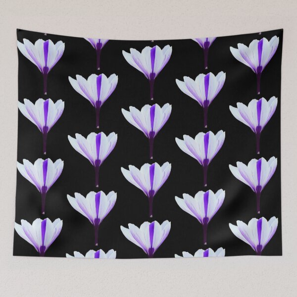 Item preview, White Crocus Open Bloom - black background designed and sold by Louise-Mae.