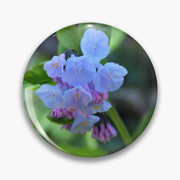 Item preview, Bluebells designed and sold by Derek Steckert.
