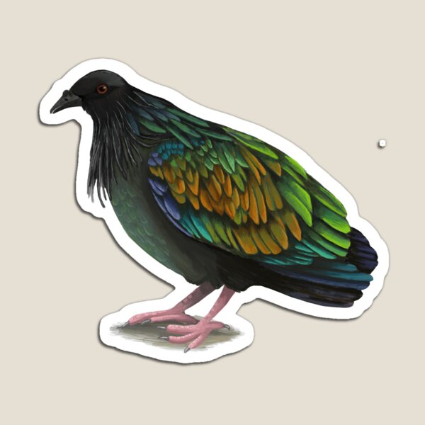 Item preview, Nicobar Pigeon designed and sold by Kindahawkward.