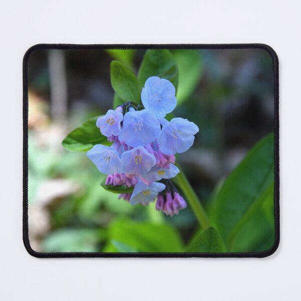 Item preview, Bluebells designed and sold by Derek Steckert.