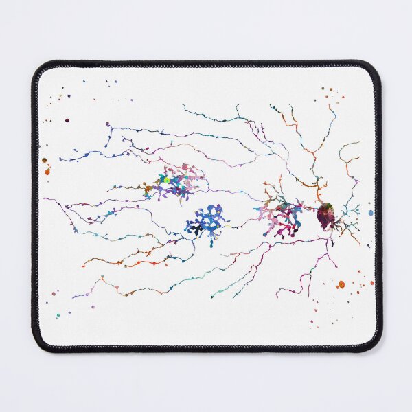 Item preview, Starburst Amacrine Cells, Retina Anatomy designed and sold by EvasDreams.