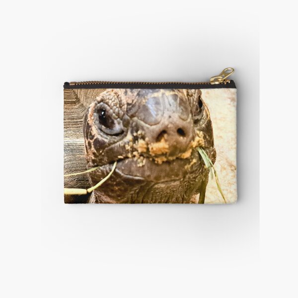 Item preview, Cute lil tort. designed and sold by landriesarah777.