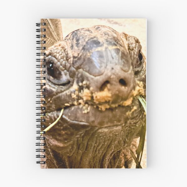 Item preview, Cute lil tort. designed and sold by landriesarah777.