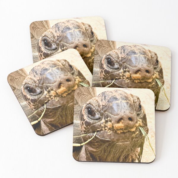 Item preview, Lindo pequeño agravio. designed and sold by landriesarah777.