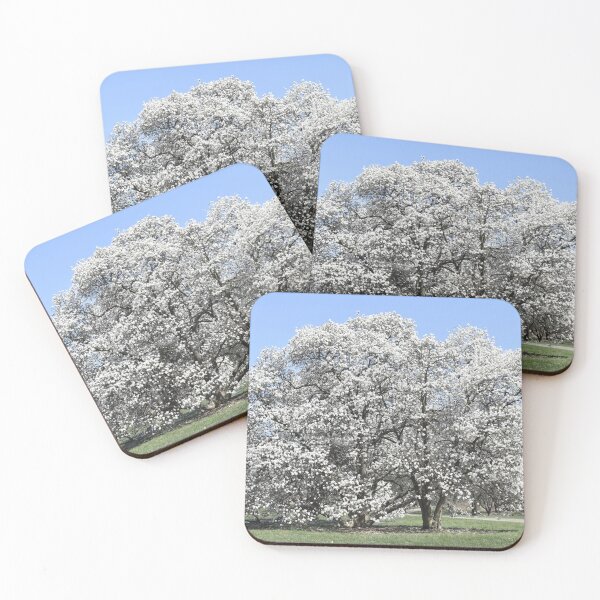 Item preview, Star Magnolia Trees designed and sold by Kathleen Brant.