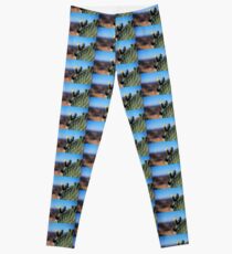 cactus flower Leggings