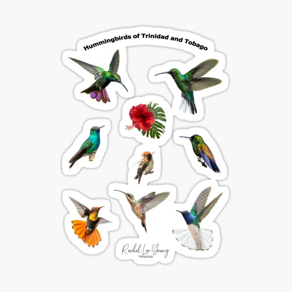 Item preview, 8 Hummingbirds of Trinidad and Tobago designed and sold by Rachel Lee Young - Land of the Hummingbird.