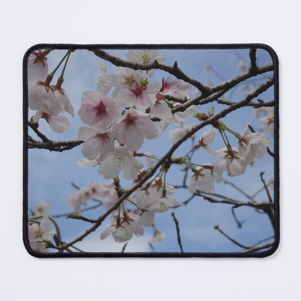 Item preview, pale pink sakura designed and sold by cuisinecat2.