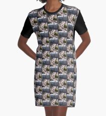 Jerusalem rampart view, no. 1 Graphic T-Shirt Dress