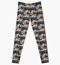 Jerusalem rampart view, no. 1 Leggings