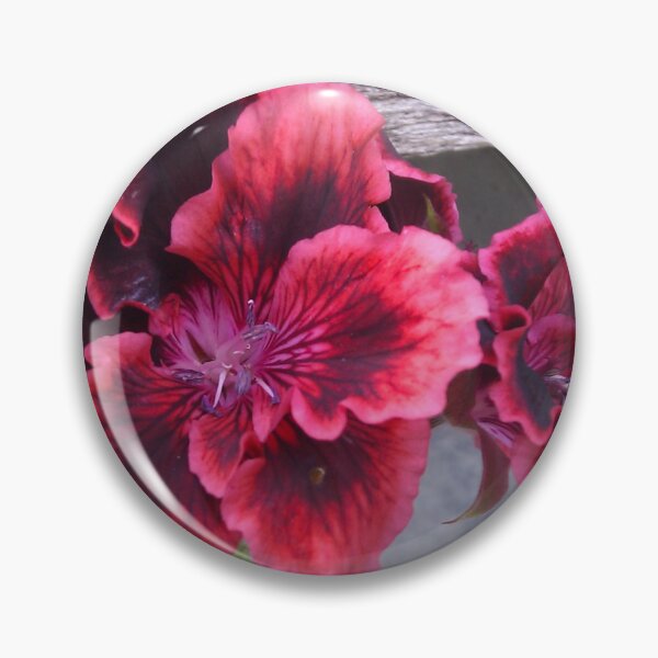 Item preview, Geranium  designed and sold by elsha.