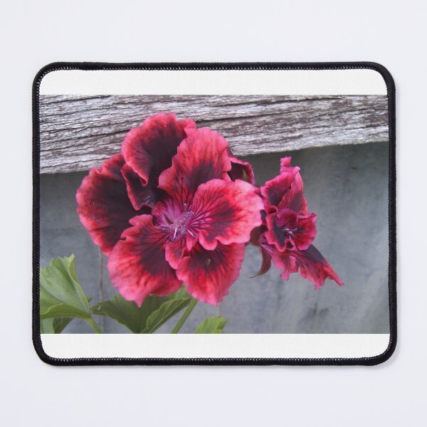 Item preview, Geranium designed and sold by elsha.