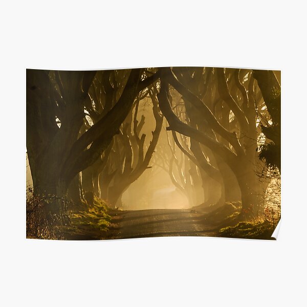 The Dark Hedges Poster
