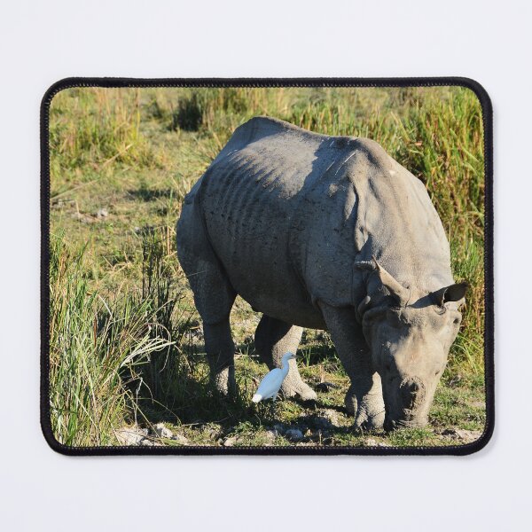 Item preview, India - Kaziranga National Park designed and sold by franck380.
