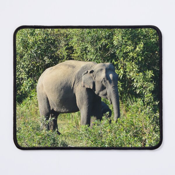 Item preview, India - Kaziranga National Park designed and sold by franck380.