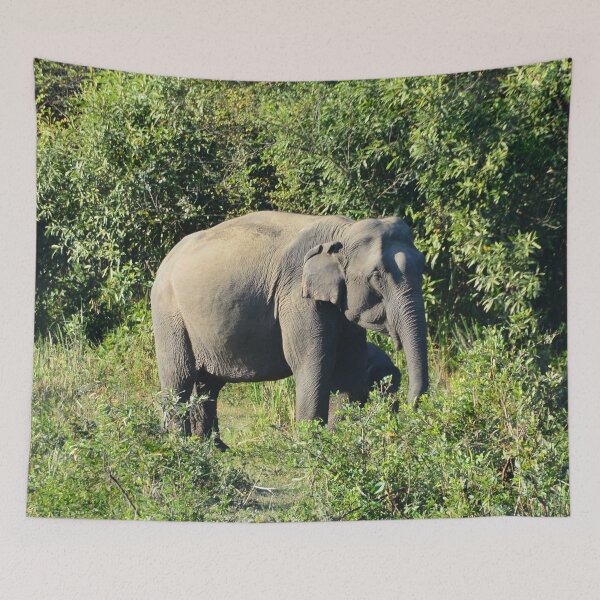 Item preview, India - Kaziranga National Park designed and sold by franck380.