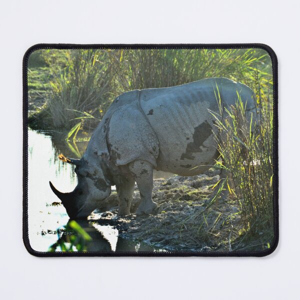 Item preview, India - Kaziranga National Park designed and sold by franck380.
