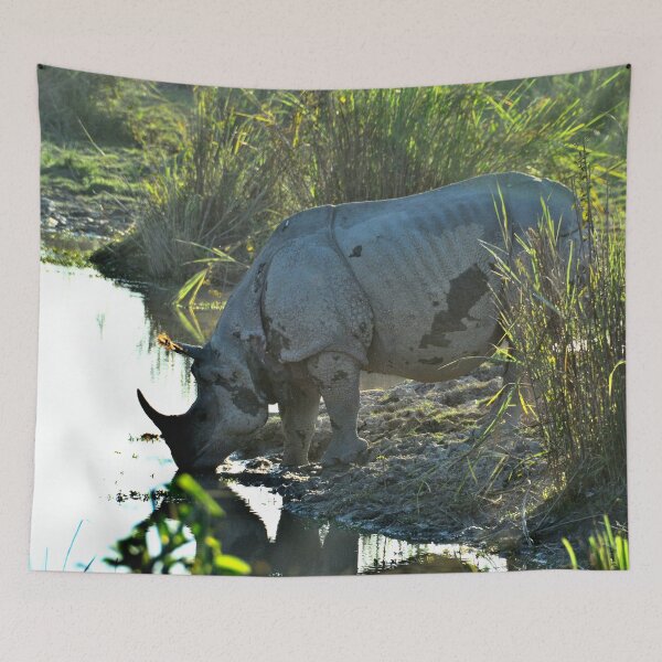 Item preview, India - Kaziranga National Park designed and sold by franck380.