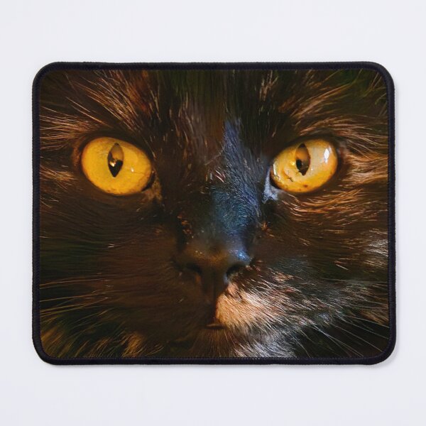 Item preview, Cat Face designed and sold by Vicki Pelham.