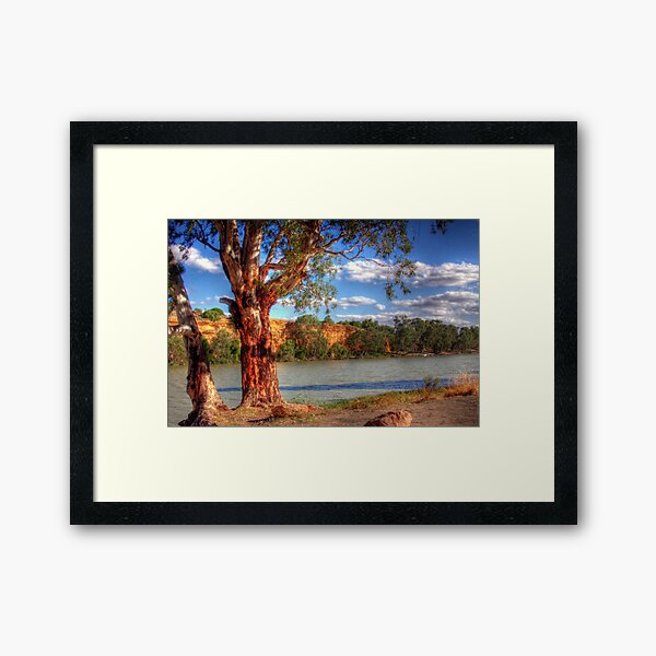 The River Murray II Framed Art Print
