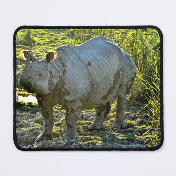 Item preview, India - Kaziranga National Park designed and sold by franck380.