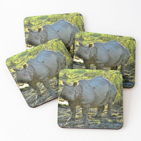 Item preview, India - Kaziranga National Park designed and sold by franck380.