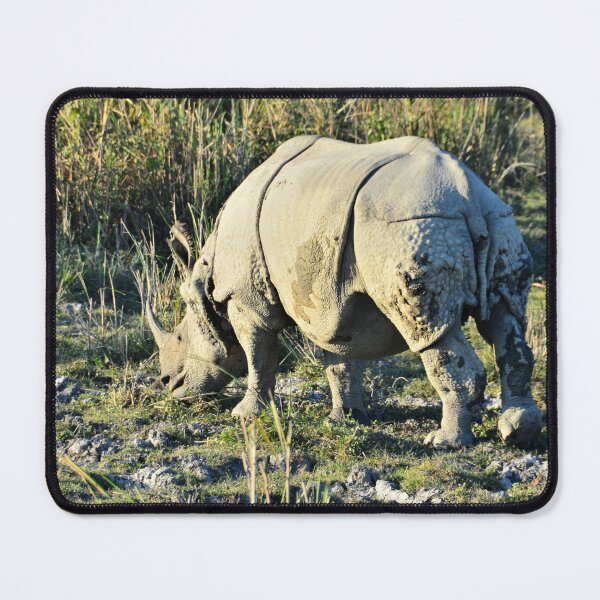 Item preview, India - Kaziranga National Park designed and sold by franck380.