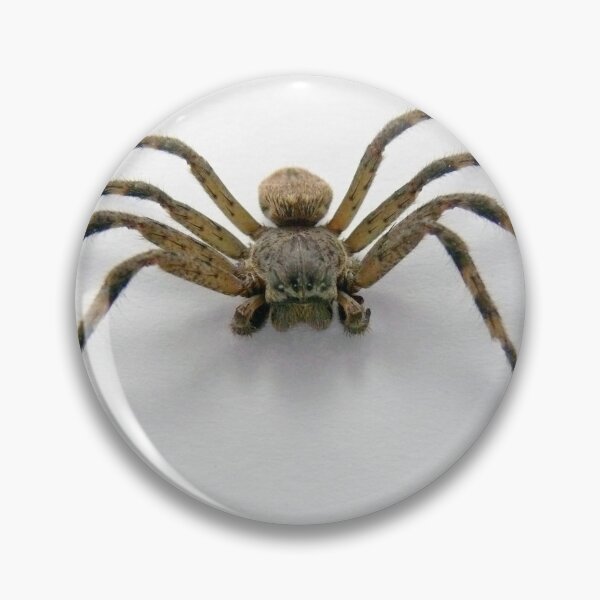 Item preview, Beware the Arachnophobe designed and sold by elsha.