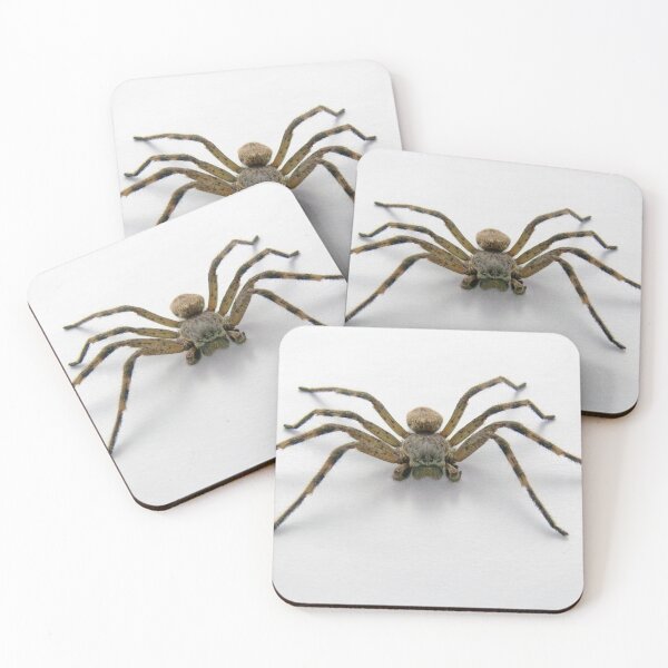 Item preview, Beware the Arachnophobe designed and sold by elsha.
