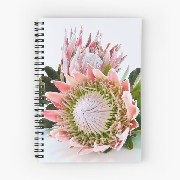 Item preview, A great bloom designed and sold by elsha.