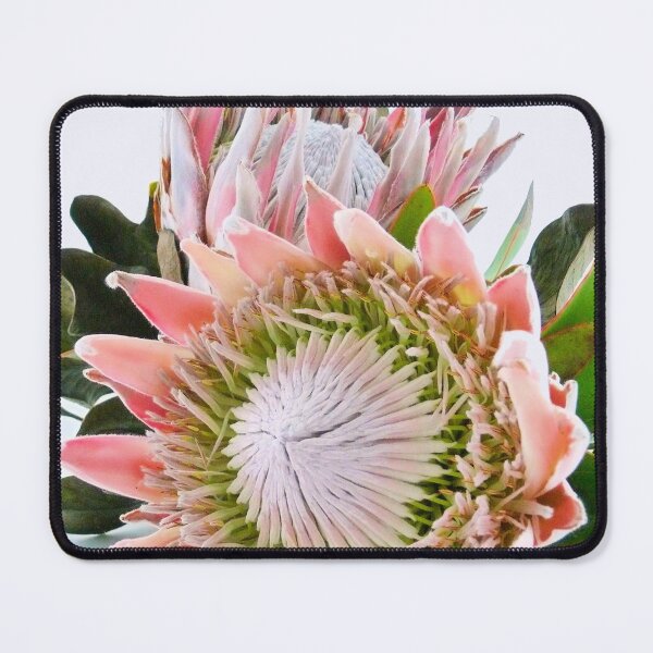 Item preview, A great bloom designed and sold by elsha.